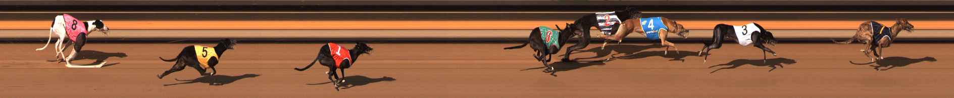 Photo finish for Ballarat Race 4