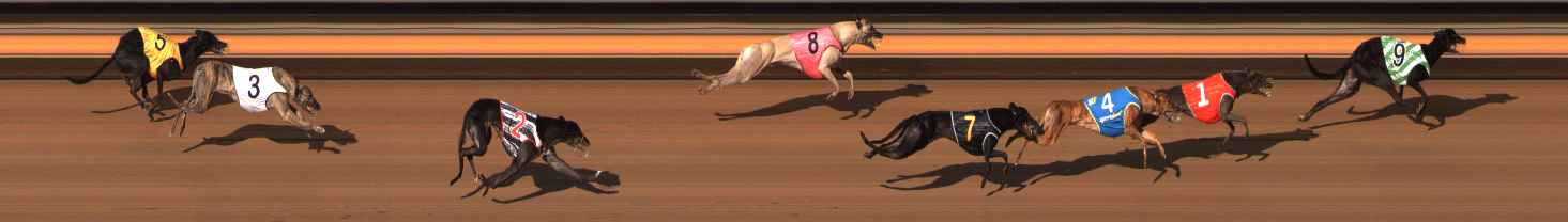 Photo finish for Ballarat Race 6