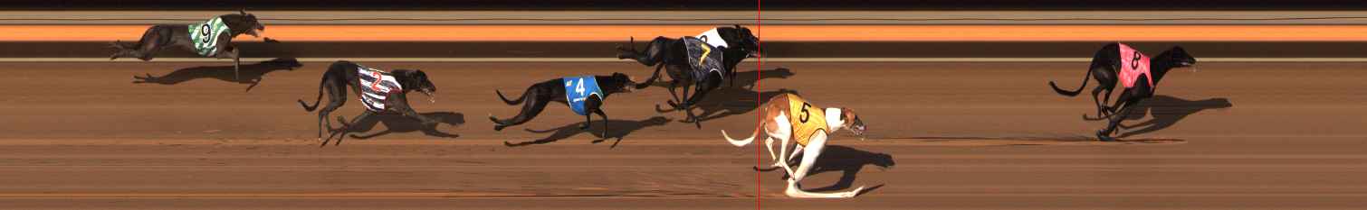 Photo finish for Ballarat Race 7
