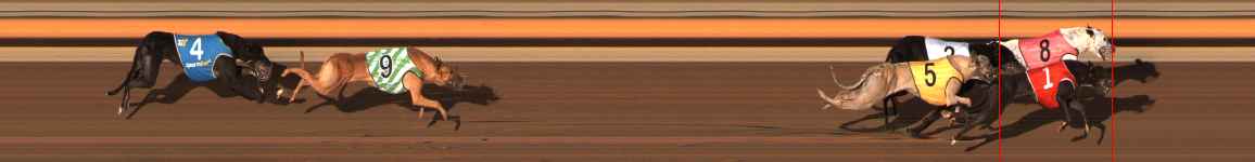 Photo finish for Ballarat Race 9