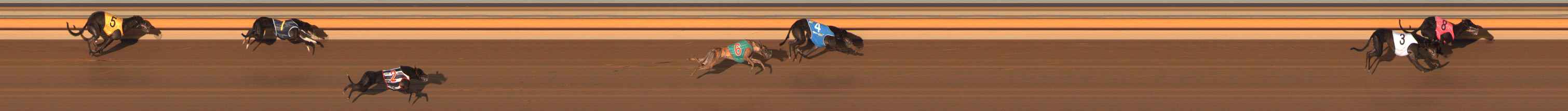Photo finish for Ballarat Race 10
