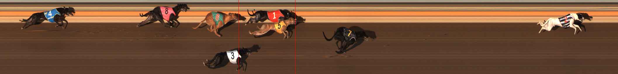 Photo finish for Ballarat Race 11