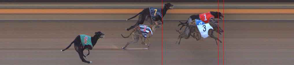 Photo finish for Ballarat Race 12