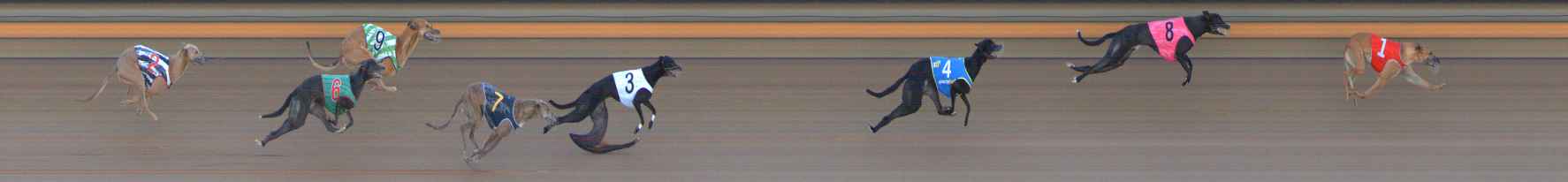 Photo finish for Ballarat Race 14