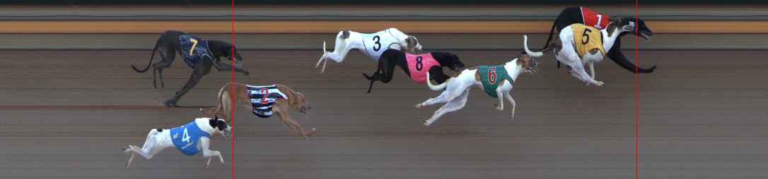 Photo finish for Ballarat Race 2