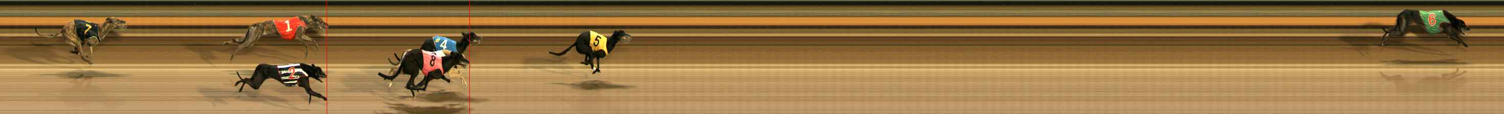 Photo finish for Ballarat Race 5