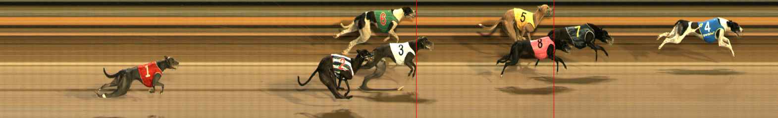 Photo finish for Ballarat Race 8