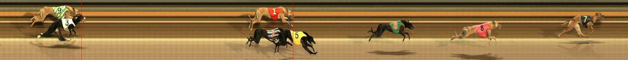 Photo finish for Ballarat Race 9