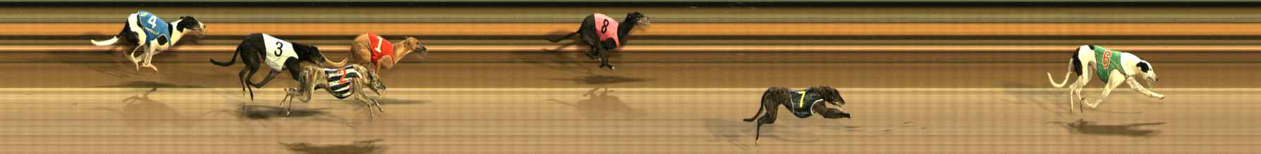 Photo finish for Ballarat Race 10