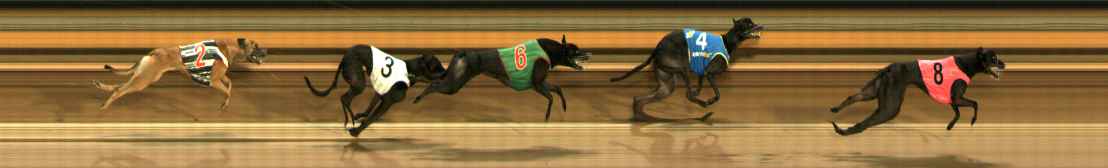 Photo finish for Ballarat Race 11