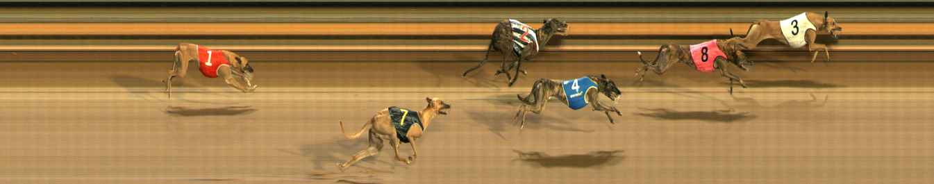 Photo finish for Ballarat Race 12
