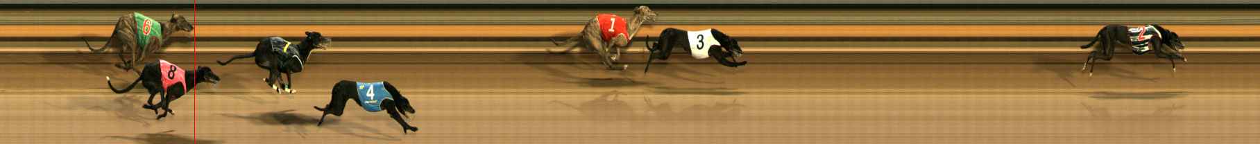Photo finish for Ballarat Race 13