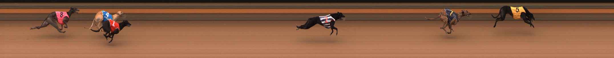 Photo finish for Ballarat Race 4