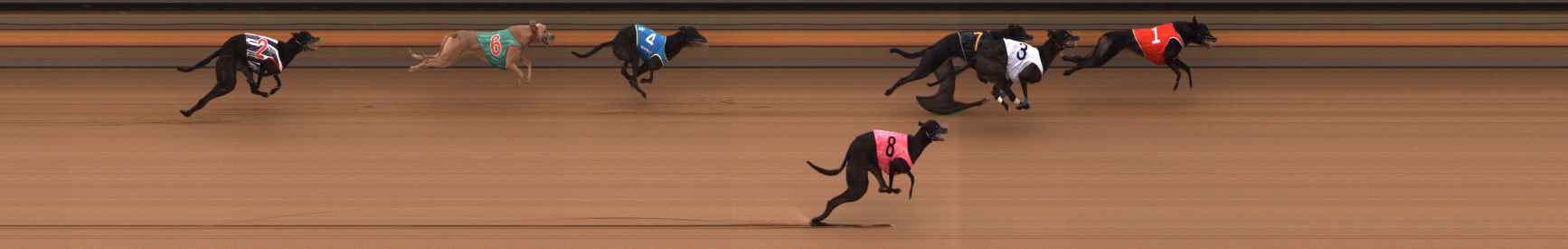 Photo finish for Ballarat Race 5