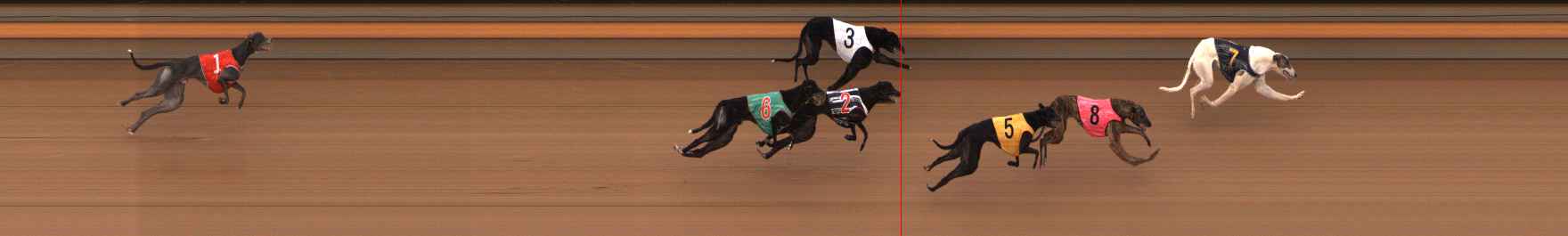 Photo finish for Ballarat Race 7