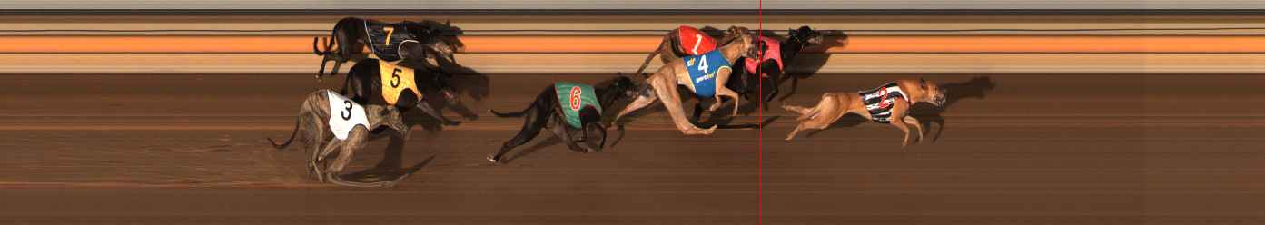 Photo finish for Ballarat Race 8