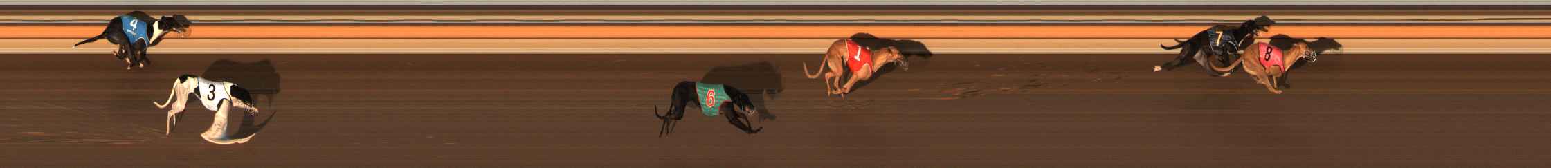 Photo finish for Ballarat Race 9