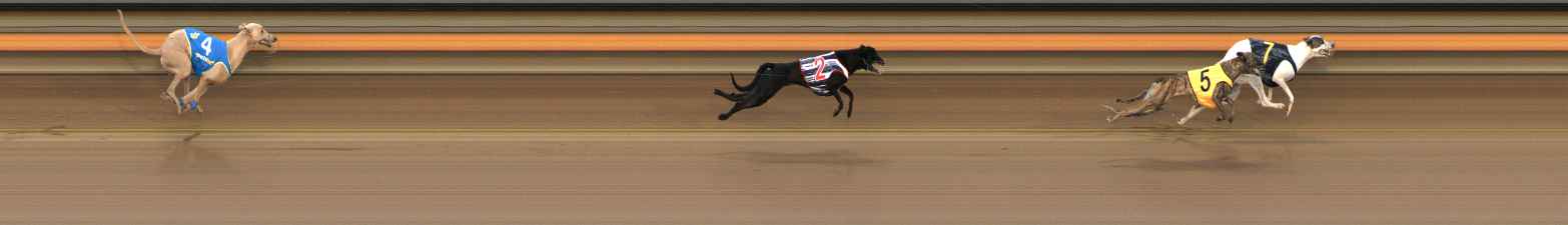 Photo finish for Ballarat Race 10