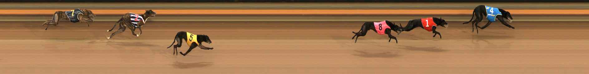 Photo finish for Ballarat Race 11