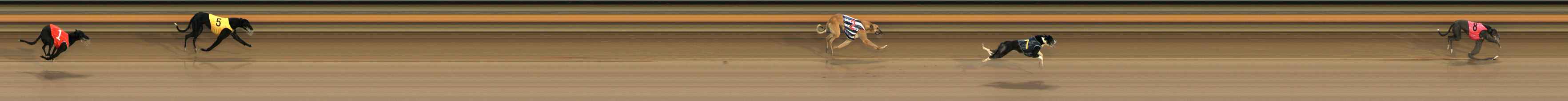 Photo finish for Ballarat Race 12
