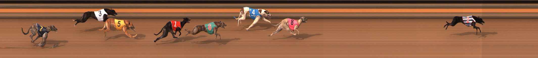 Photo finish for Ballarat Race 1