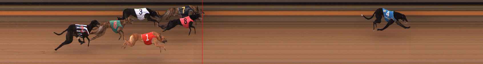 Photo finish for Ballarat Race 2