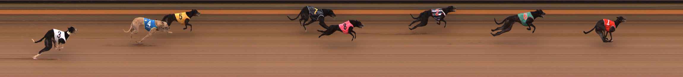 Photo finish for Ballarat Race 3