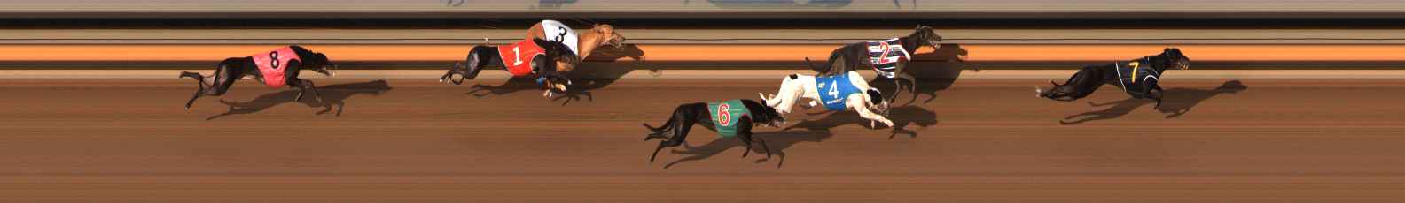 Photo finish for Ballarat Race 5