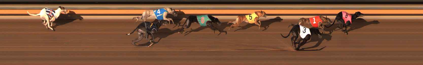 Photo finish for Ballarat Race 6