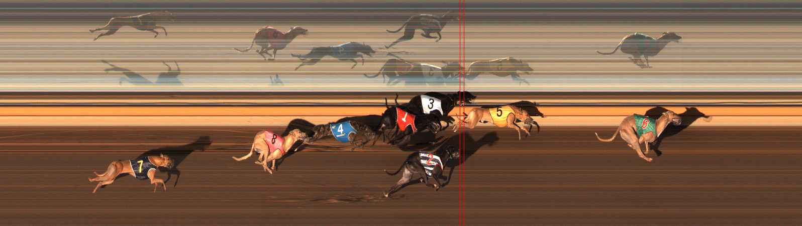 Photo finish for Ballarat Race 8