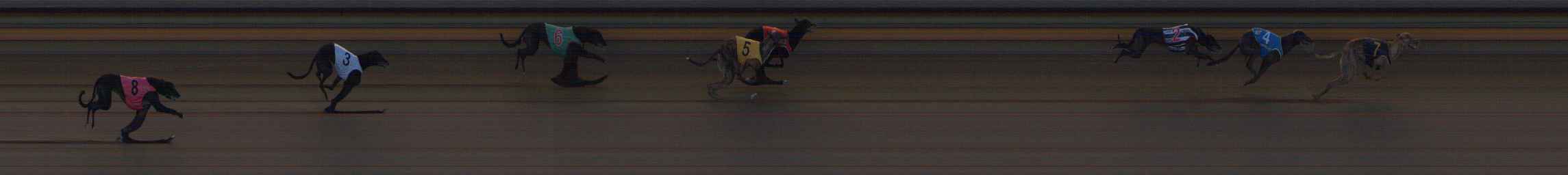 Photo finish for Ballarat Race 9