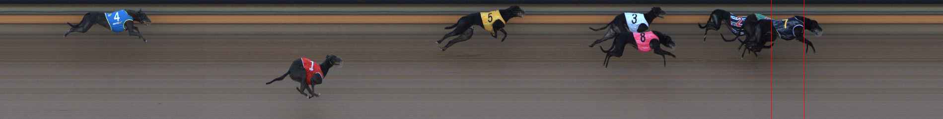 Photo finish for Ballarat Race 10