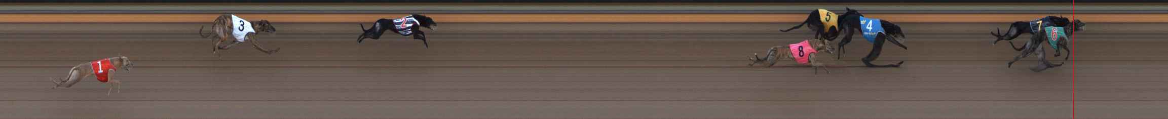 Photo finish for Ballarat Race 11