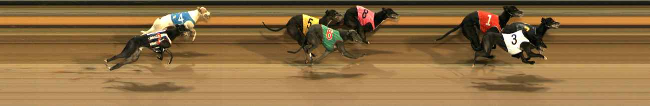 Photo finish for Ballarat Race 12