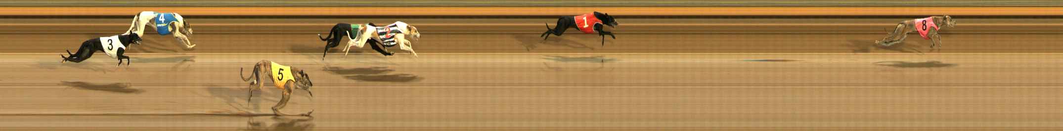 Photo finish for Ballarat Race 14