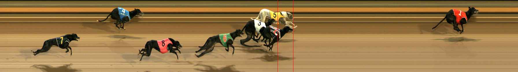 Photo finish for Ballarat Race 1