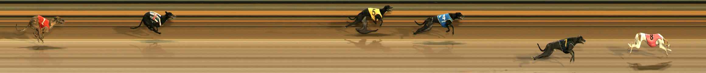 Photo finish for Ballarat Race 2