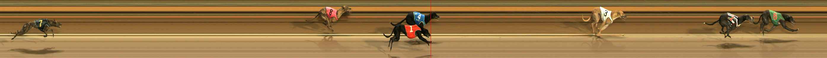 Photo finish for Ballarat Race 4