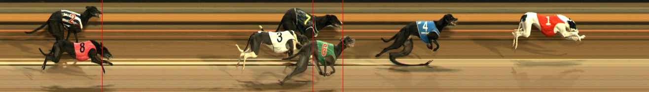 Photo finish for Ballarat Race 6