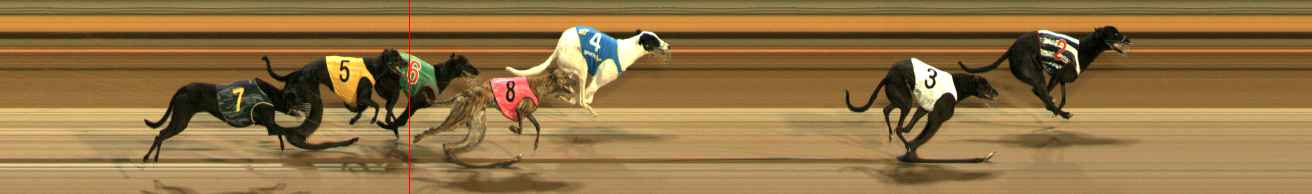 Photo finish for Ballarat Race 7