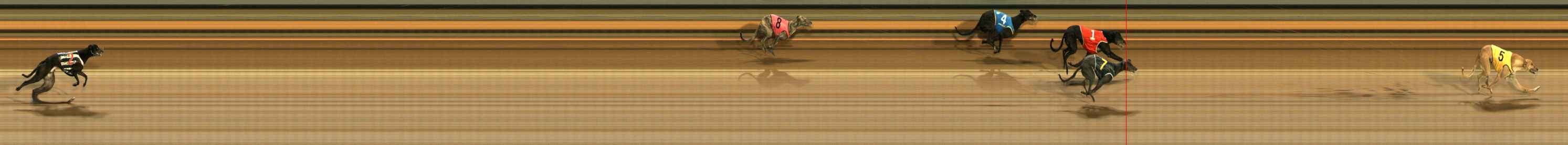 Photo finish for Ballarat Race 12