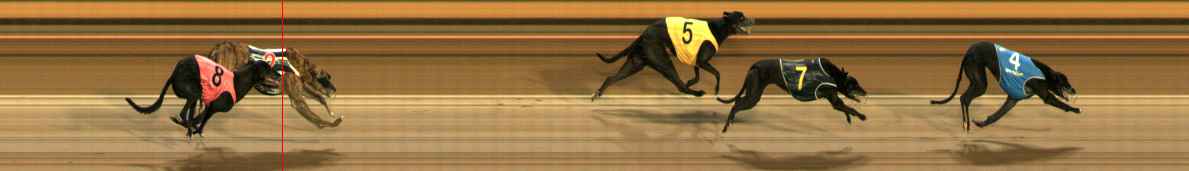 Photo finish for Ballarat Race 13