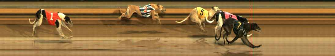 Photo finish for Ballarat Race 14