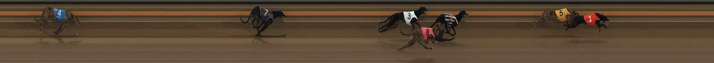 Photo finish for Ballarat Race 1