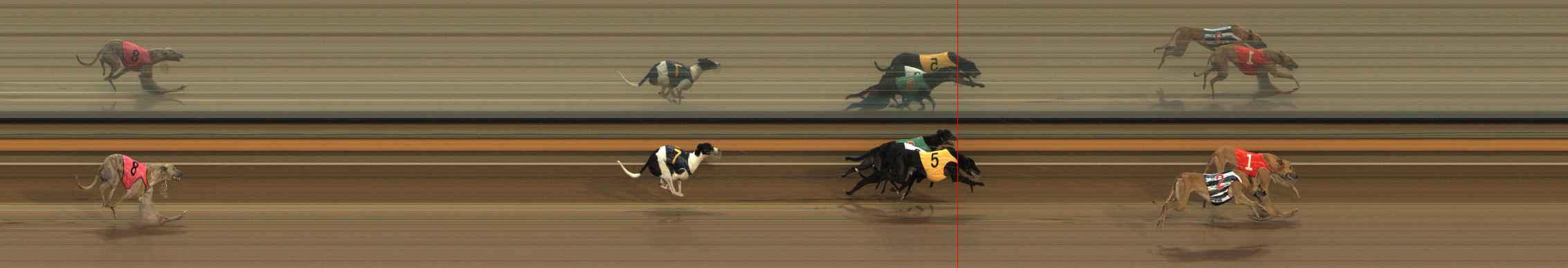 Photo finish for Ballarat Race 2