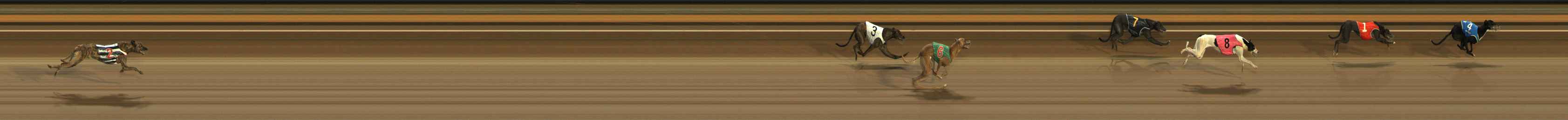 Photo finish for Ballarat Race 3