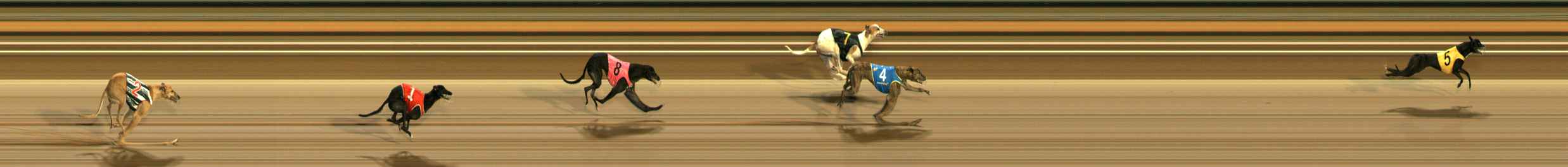 Photo finish for Ballarat Race 5