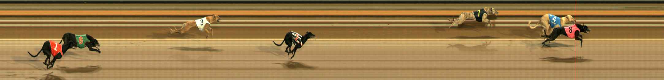 Photo finish for Ballarat Race 6