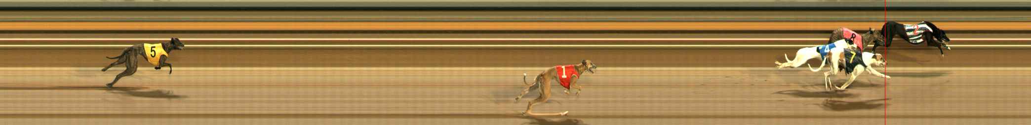 Photo finish for Ballarat Race 7