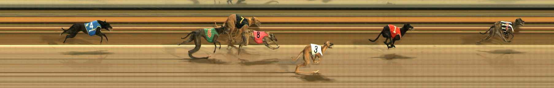 Photo finish for Ballarat Race 9